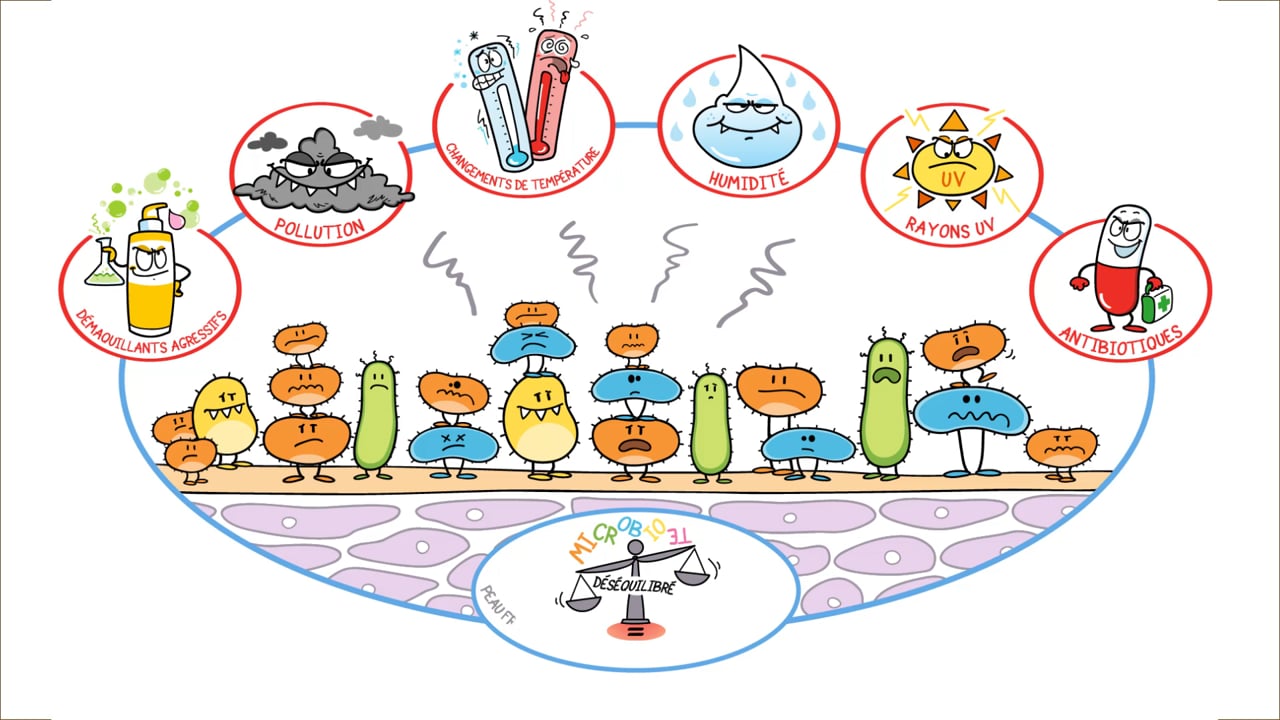 Illustration de la Vidéo dessinée Le microbiote cutané, réalisée par Toolearn pour CLARINS 